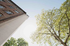 Neues Büro: Froschperspektive auf Hausecke, Himmel und Bäume